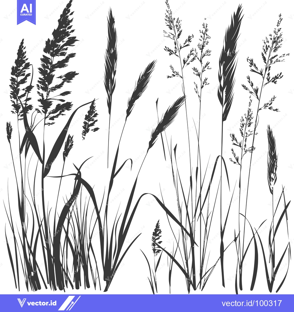 Premium Vector dari Silhouette of Grasses and Blades in Black and White