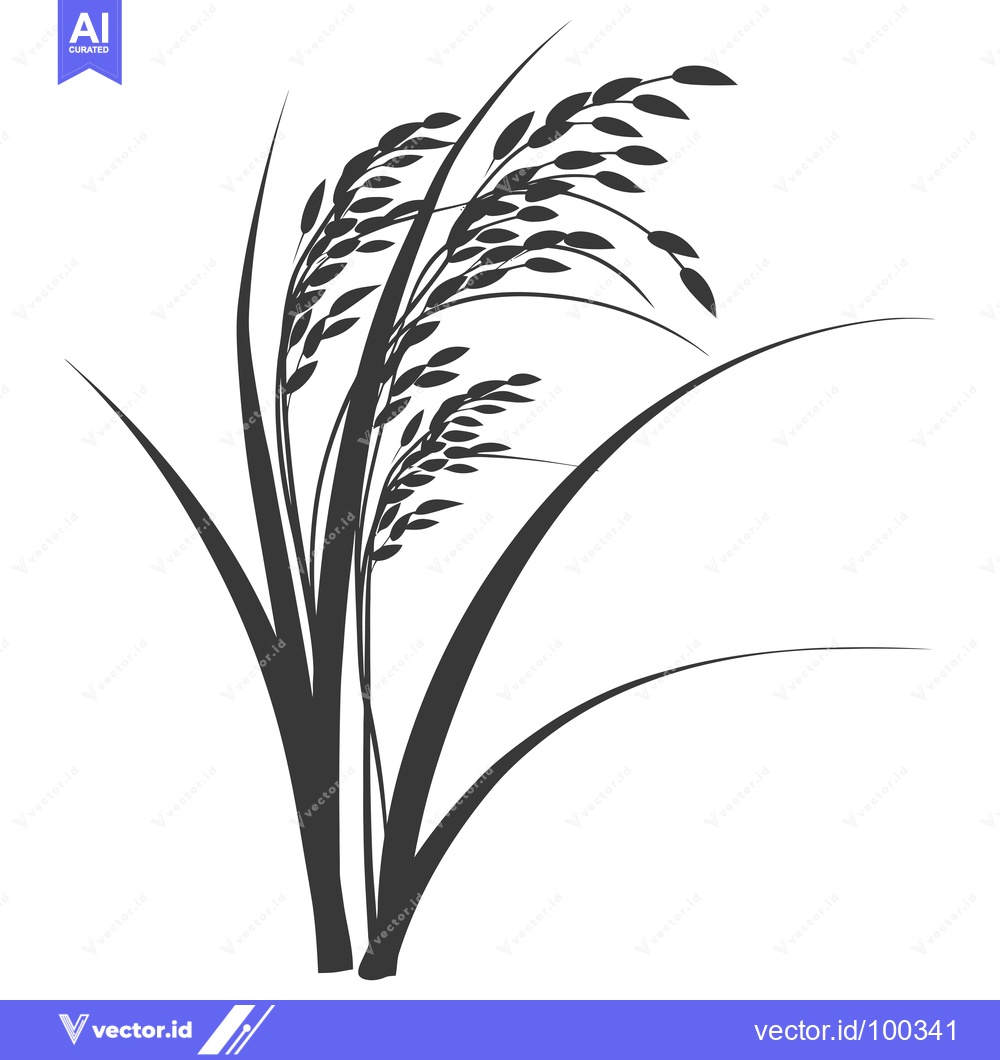 Premium Vector dari Silhouette of Rice Plant with Grains