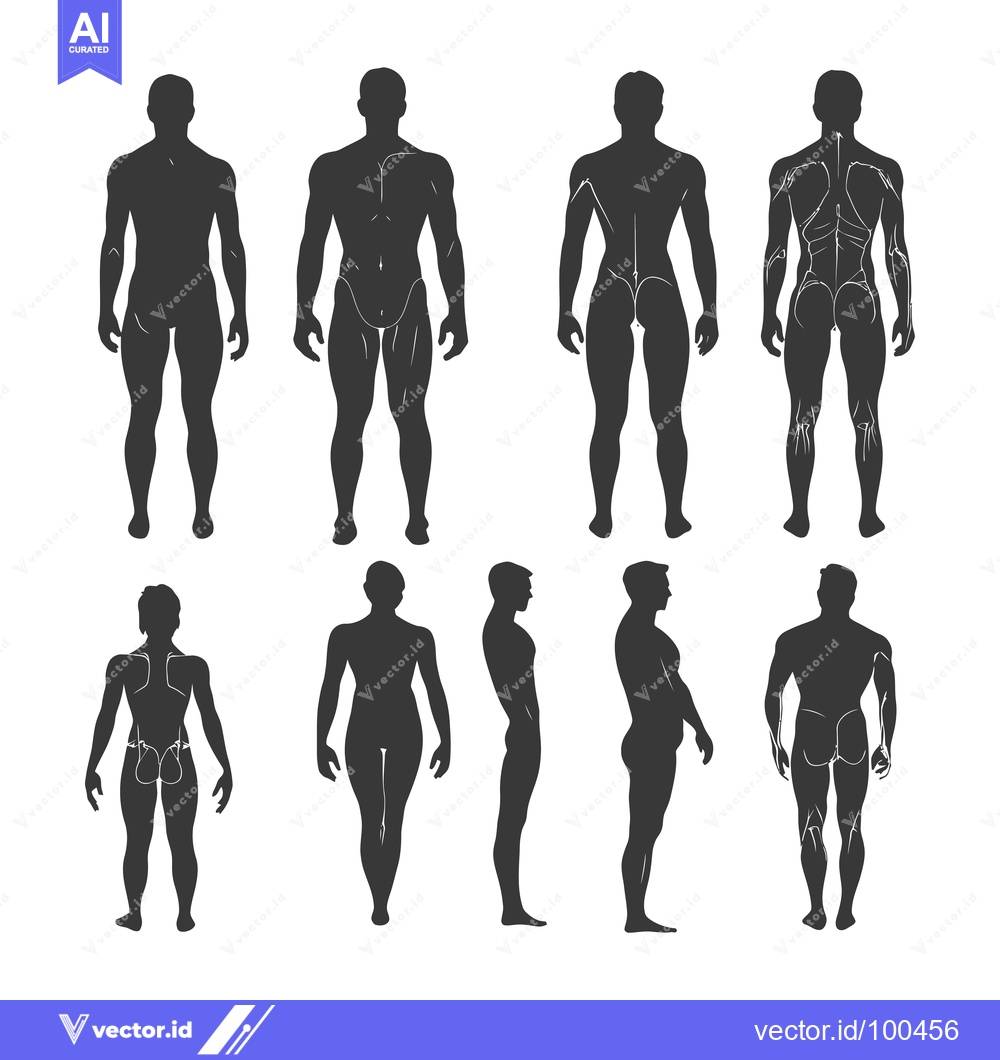 Premium Vector dari Silhouettes of a Male Human Body in Different Poses