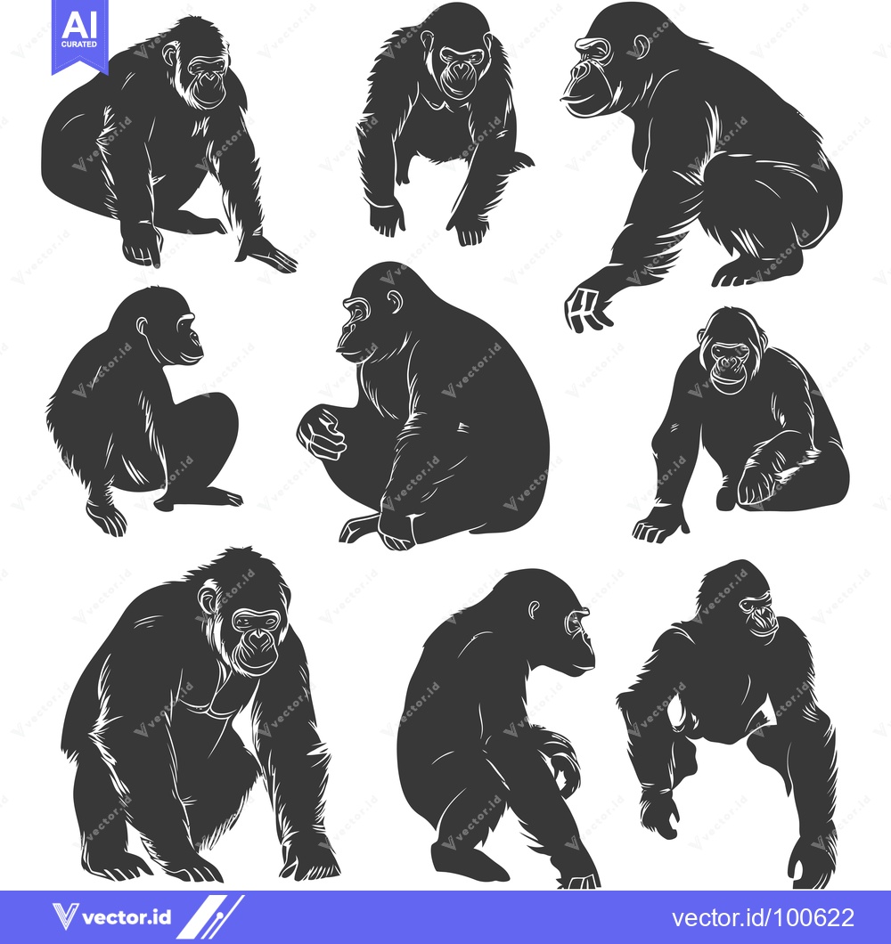 Premium Vector of Silhouettes of Gorillas in Various Poses
