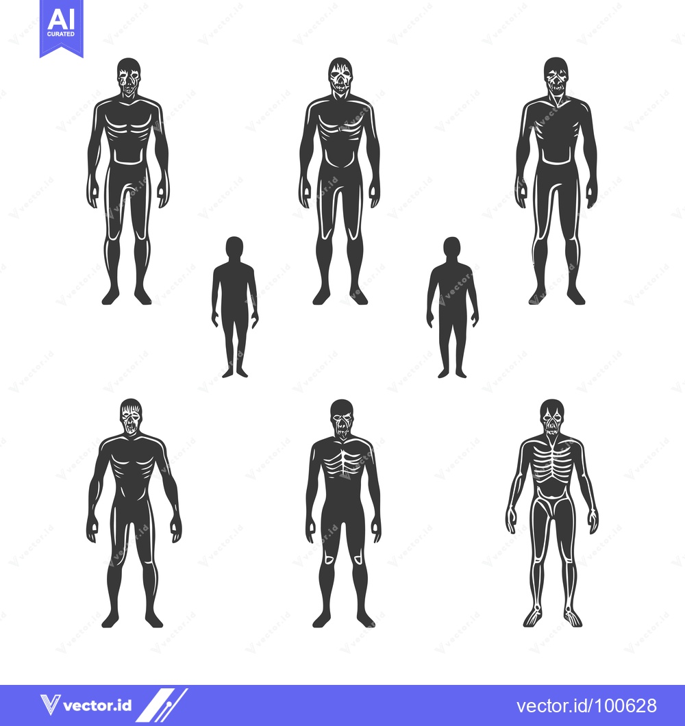 Premium Vector dari Silhouettes of Human Figures with Visible Skeletons and Muscles