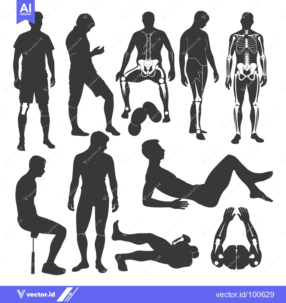 Premium Vector dari Silhouettes of Human Figures with Visible Skeleton Structures