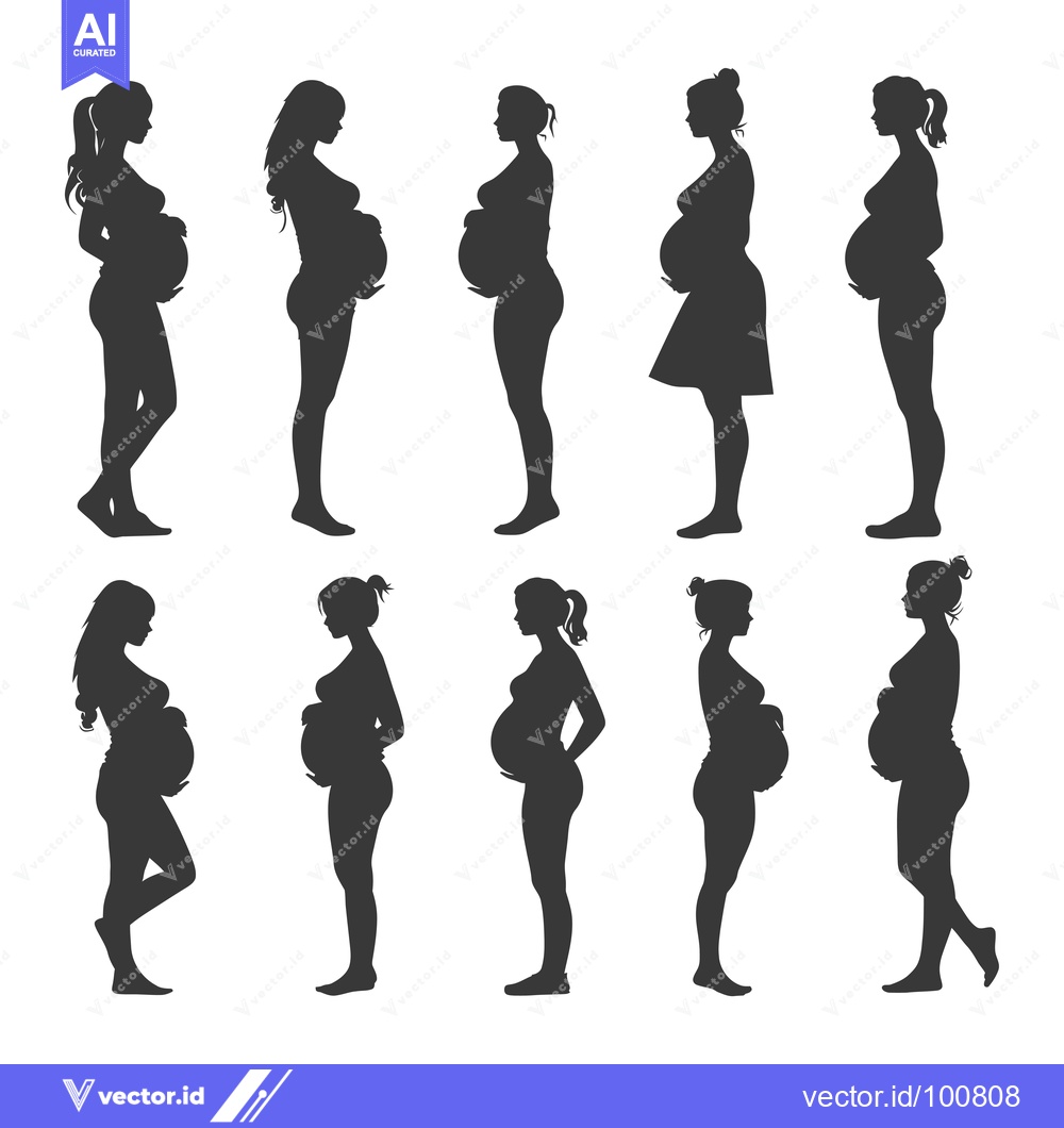 Premium Vector dari Silhouettes of Pregnant Women in Various Poses
