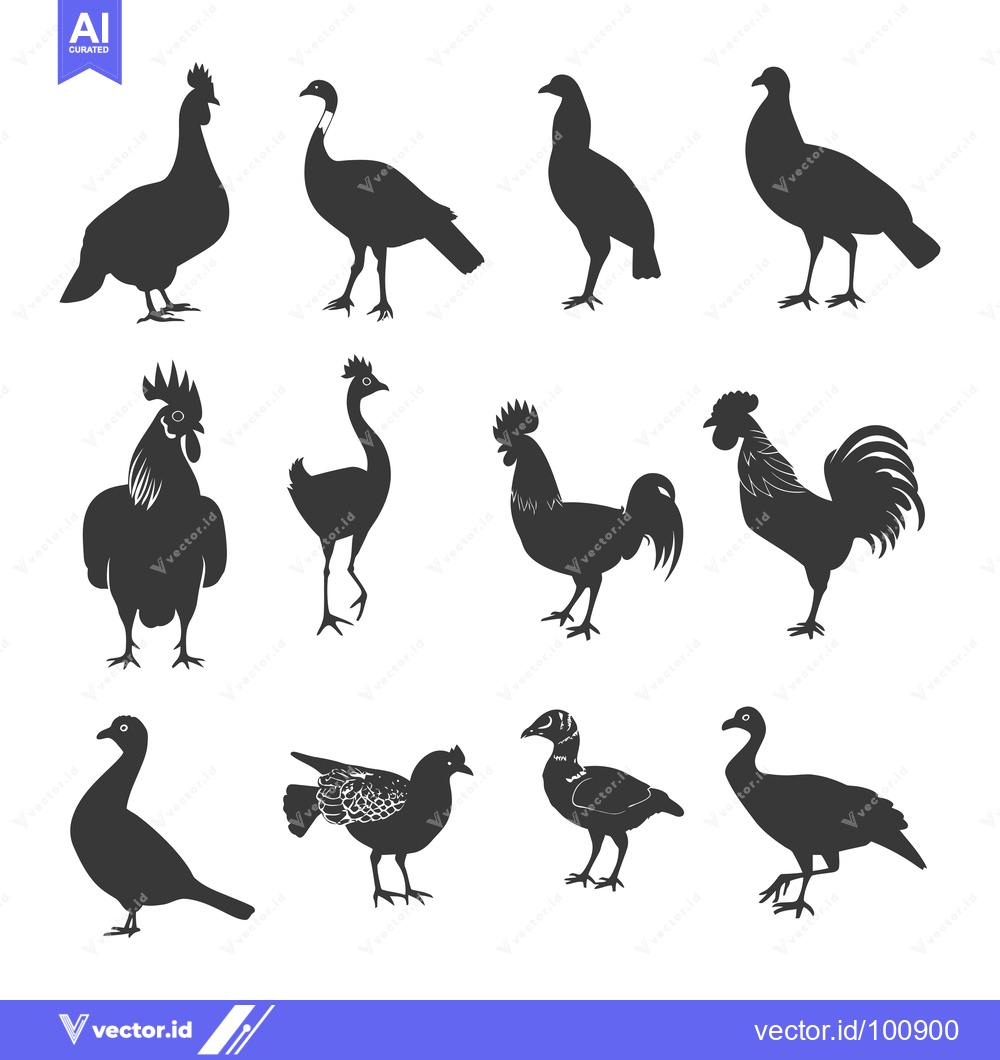 Premium Vector of Silhouettes of Various Bird Species