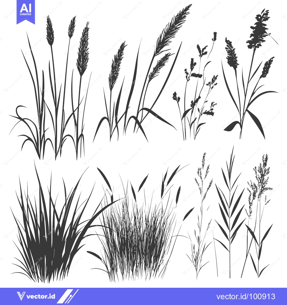 Premium Vector of Silhouettes of Various Grass and Wildflower Species