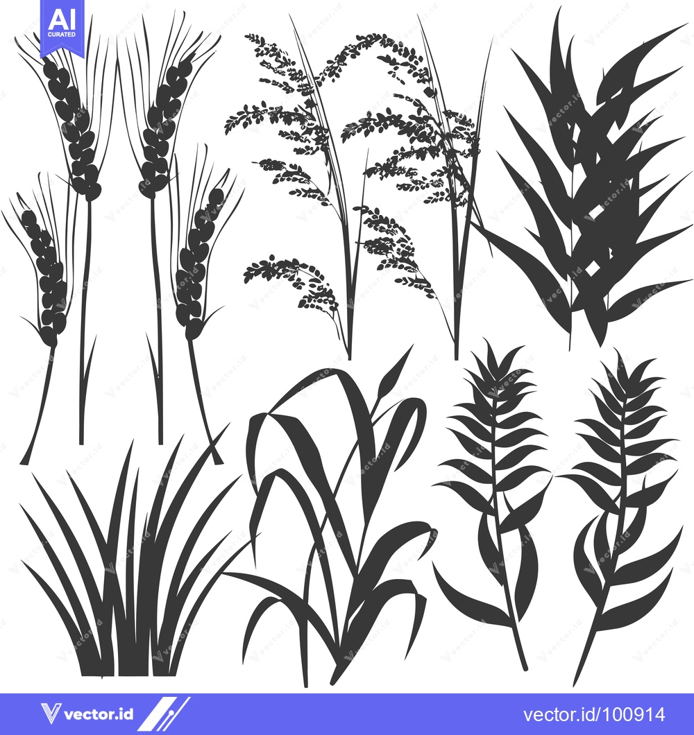 Premium Vector dari Silhouettes of Various Grasses and Plants