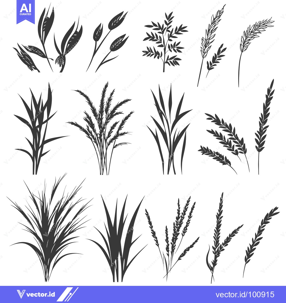 Premium Vector dari Silhouettes of Various Grasses and Wheat