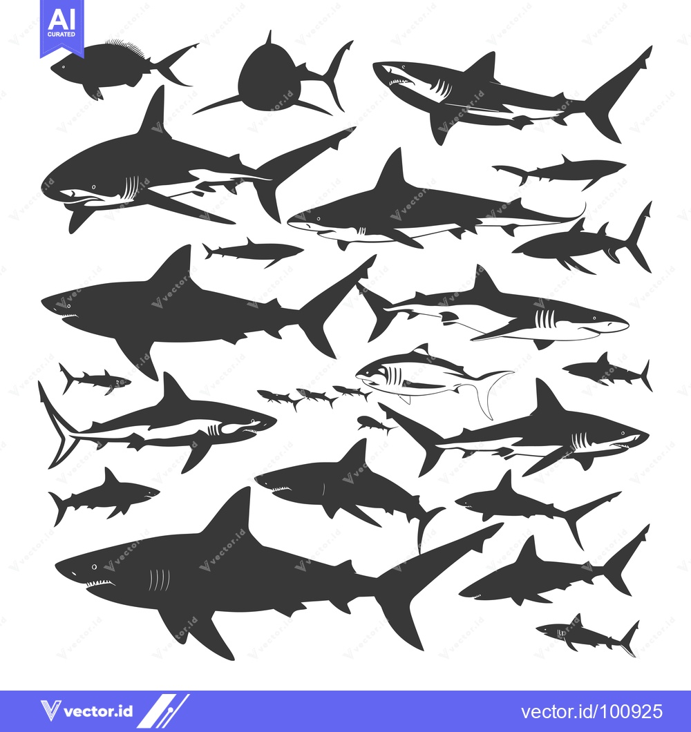Premium Vector of Silhouettes of Various Sharks in Different Sizes and Positions