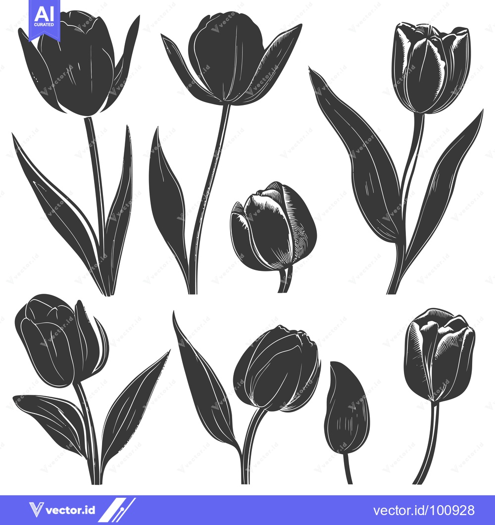 Premium Vector dari Silhouettes of Various Stages of Tulip Growth