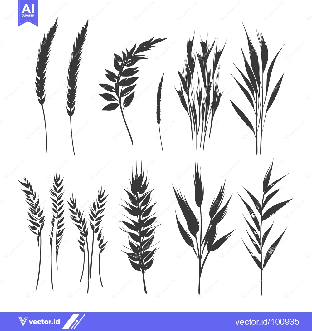 Premium Vector dari Silhouettes of Various Types of Grass and Wheat