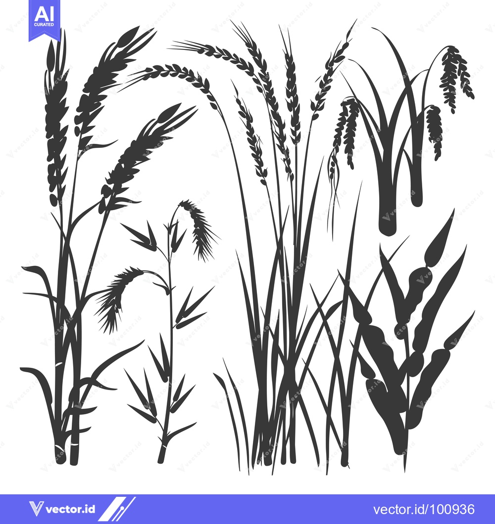 Premium Vector of Silhouettes of Various Types of Grass and Wheat