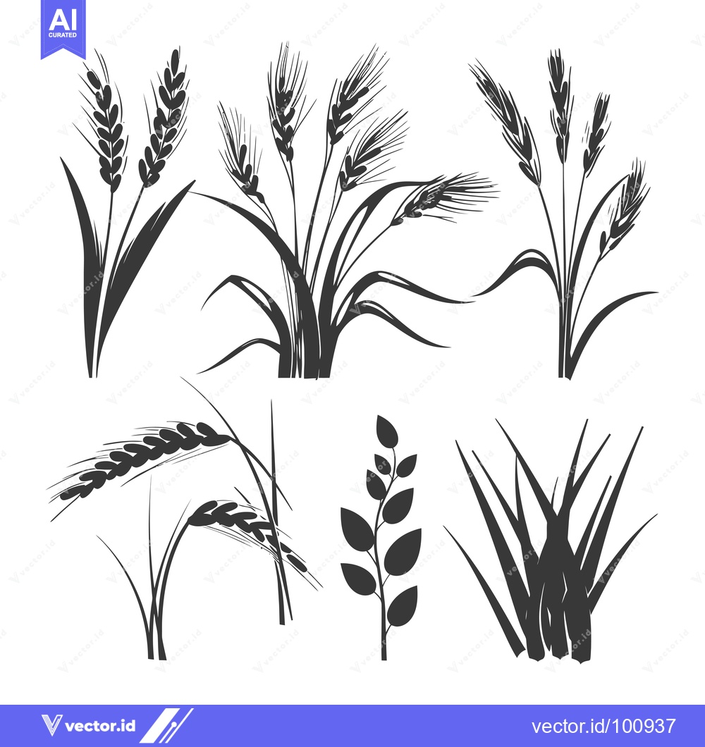 Premium Vector dari Silhouettes of Various Wheat and Grass Plants