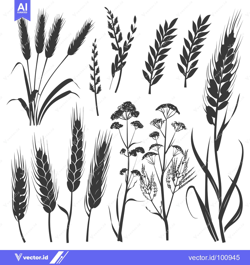 Premium Vector of Silhouettes of Wheat, Grass, and Flowers