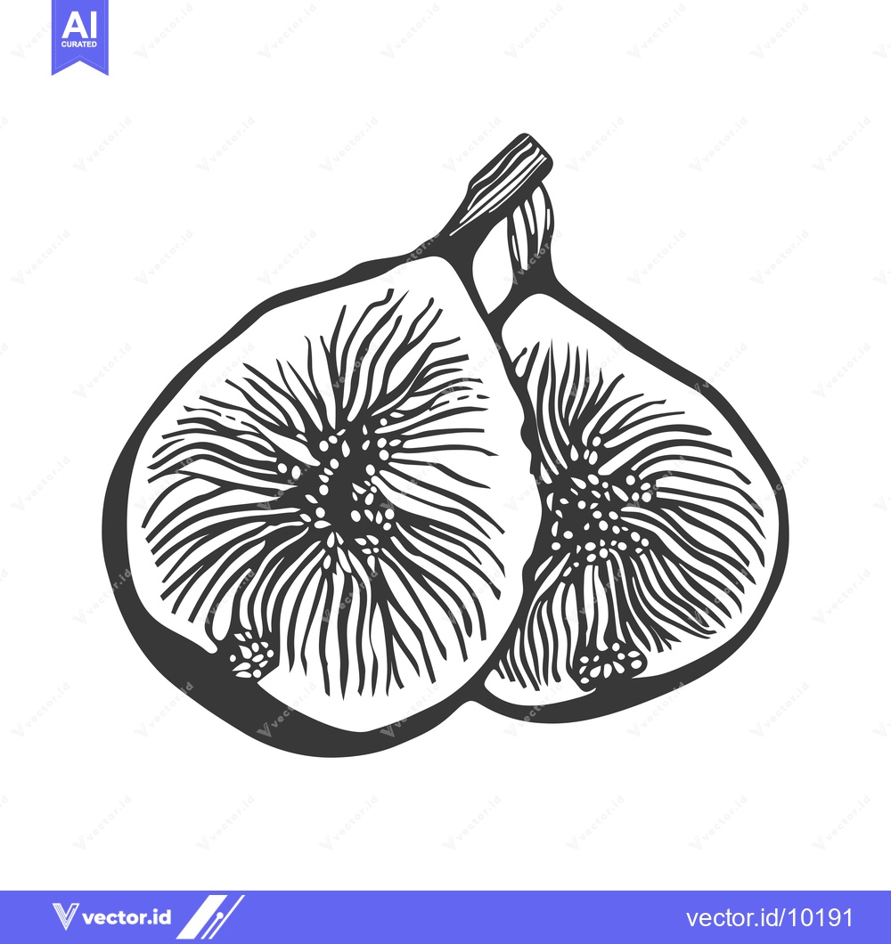 Premium Vector dari A Black and White Hand-Drawn Illustration of Two Figs