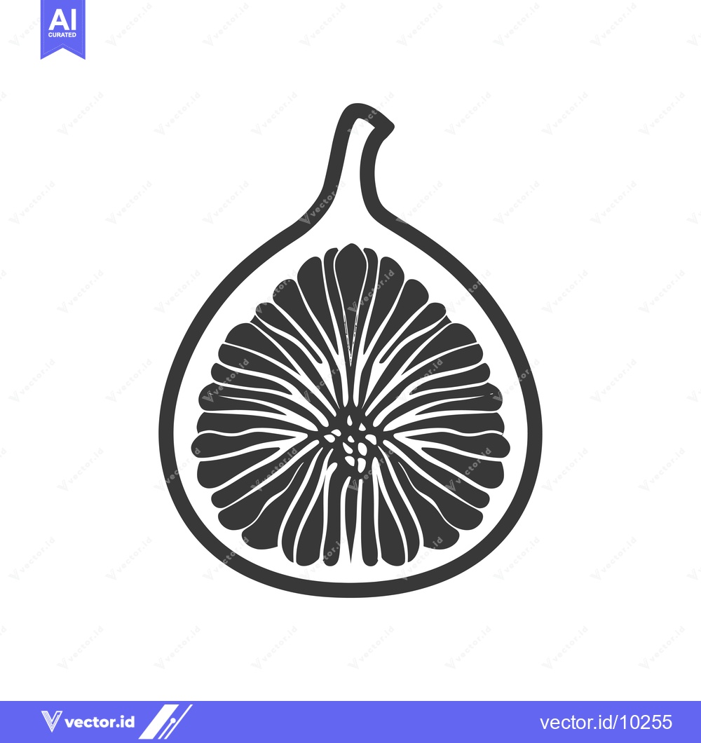 Premium Vector of A Black and White Illustration of a Cut Open Fig