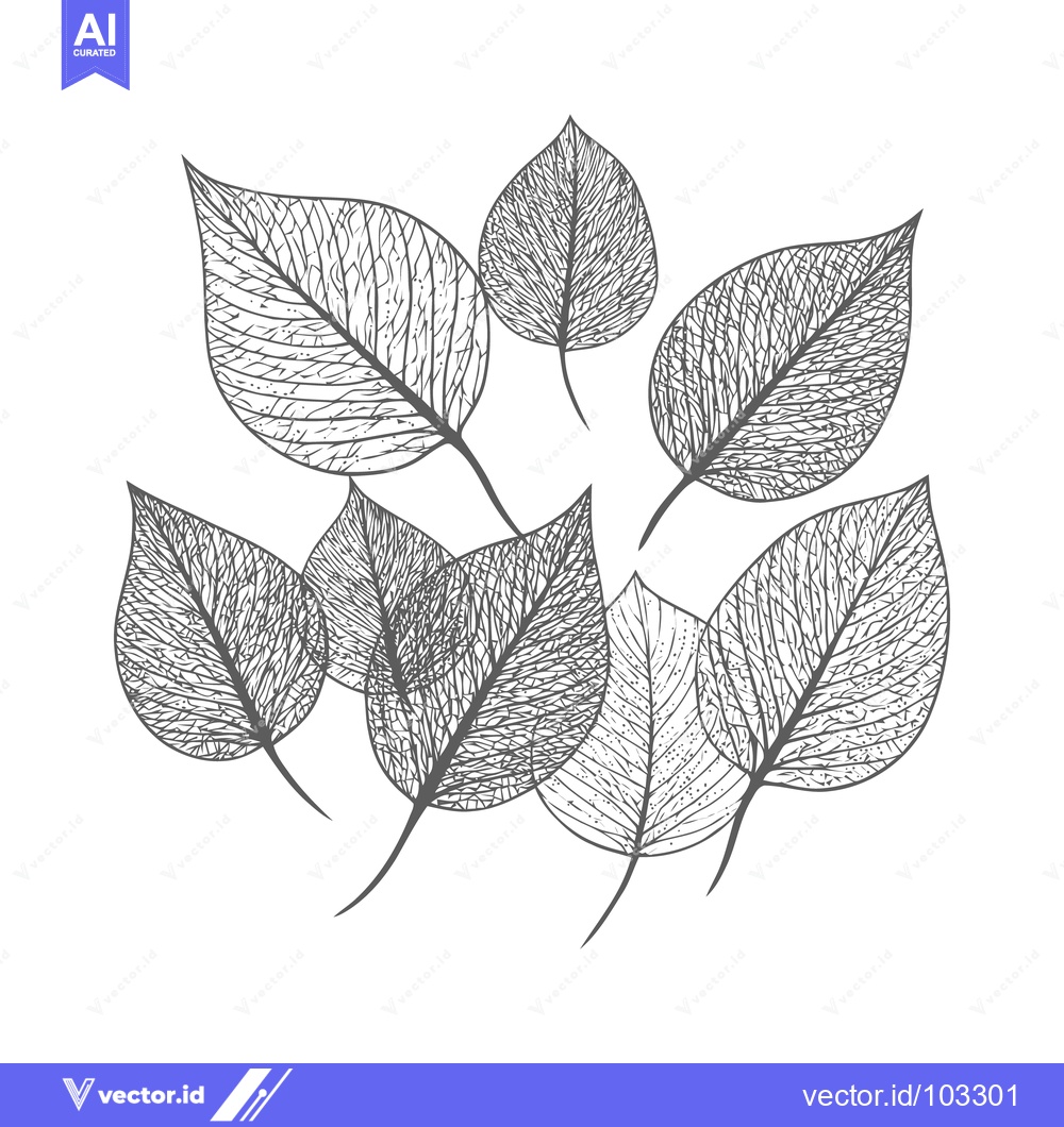 Premium Vector dari Elegant Hand-Drawn Skeletal Leaves Vector Illustration with Intricate