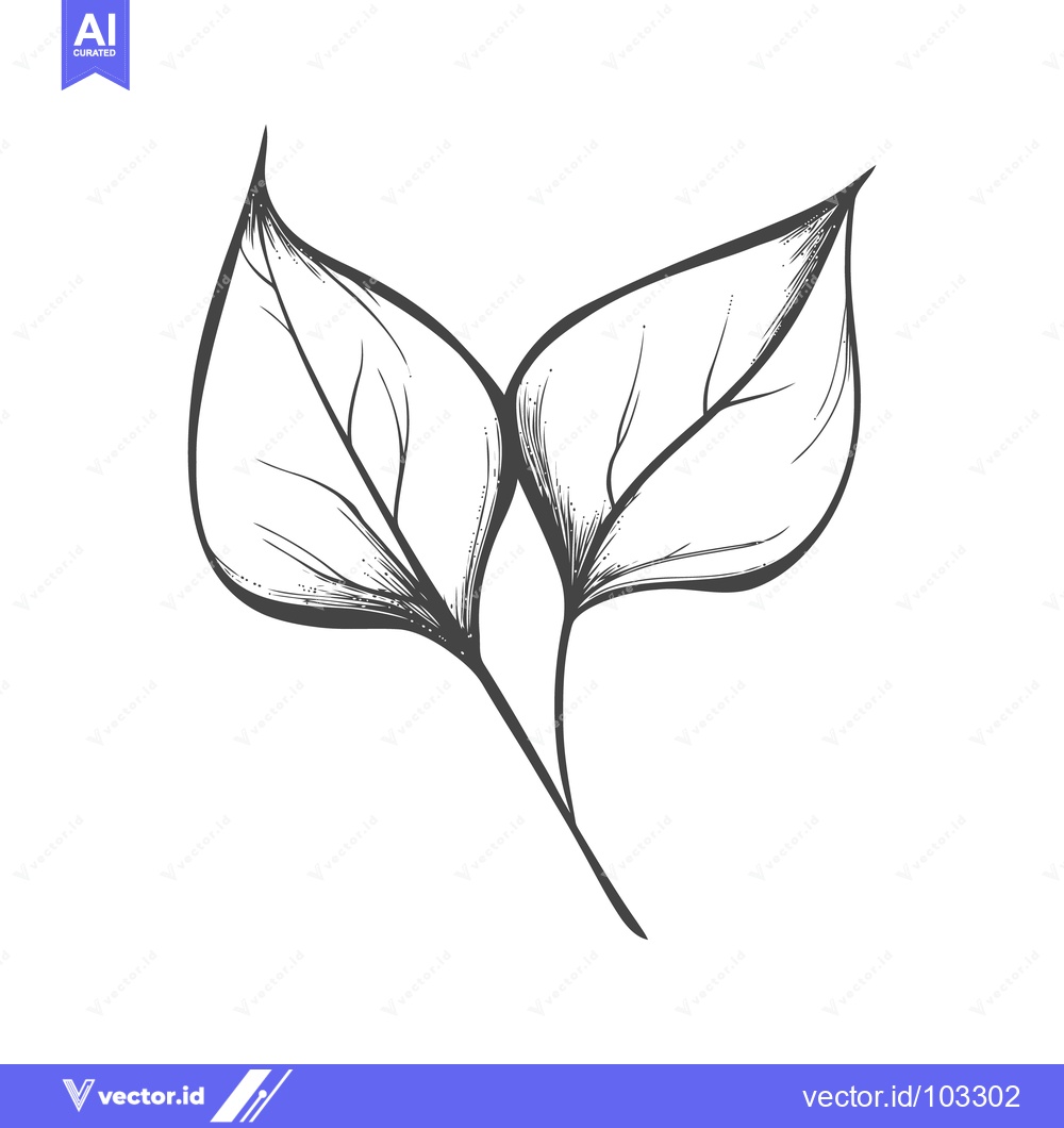 Premium Vector dari Hand-Drawn Monochrome Botanical Illustration of Two Delicate Leaves on