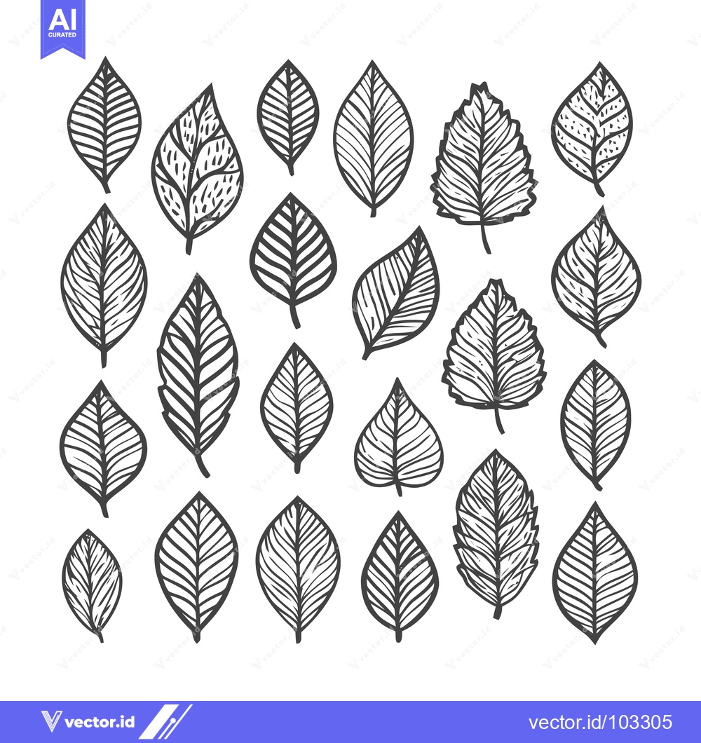Premium Vector dari Diverse Hand-Drawn Black Outline Leaves Collection on White, Organic B
