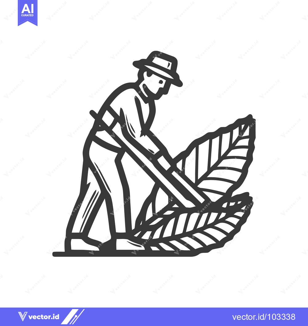 Premium Vector of Stylized Farmer Harvesting Tobacco Leaves, Bold Monochrome Line Art Ic