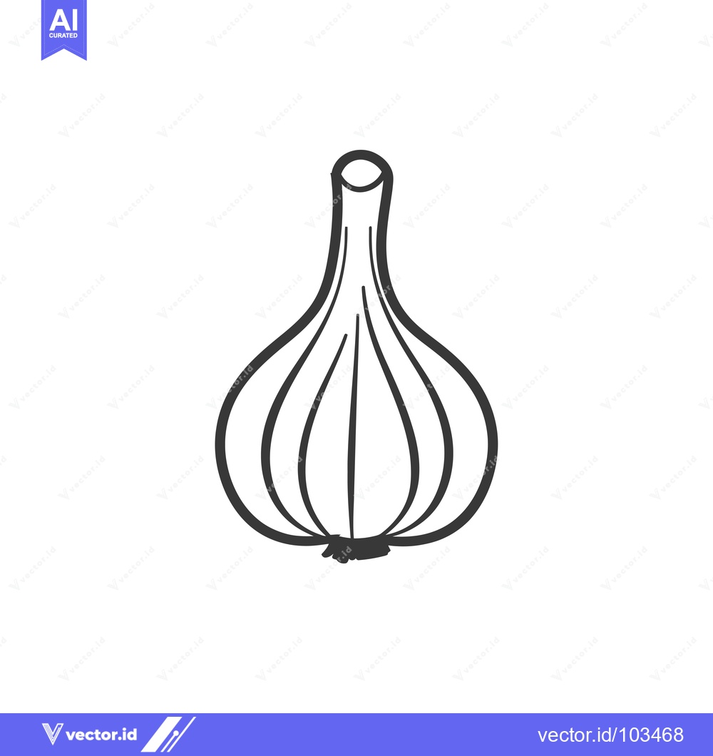 Premium Vector of Single Line Drawing of a Garlic Bulb