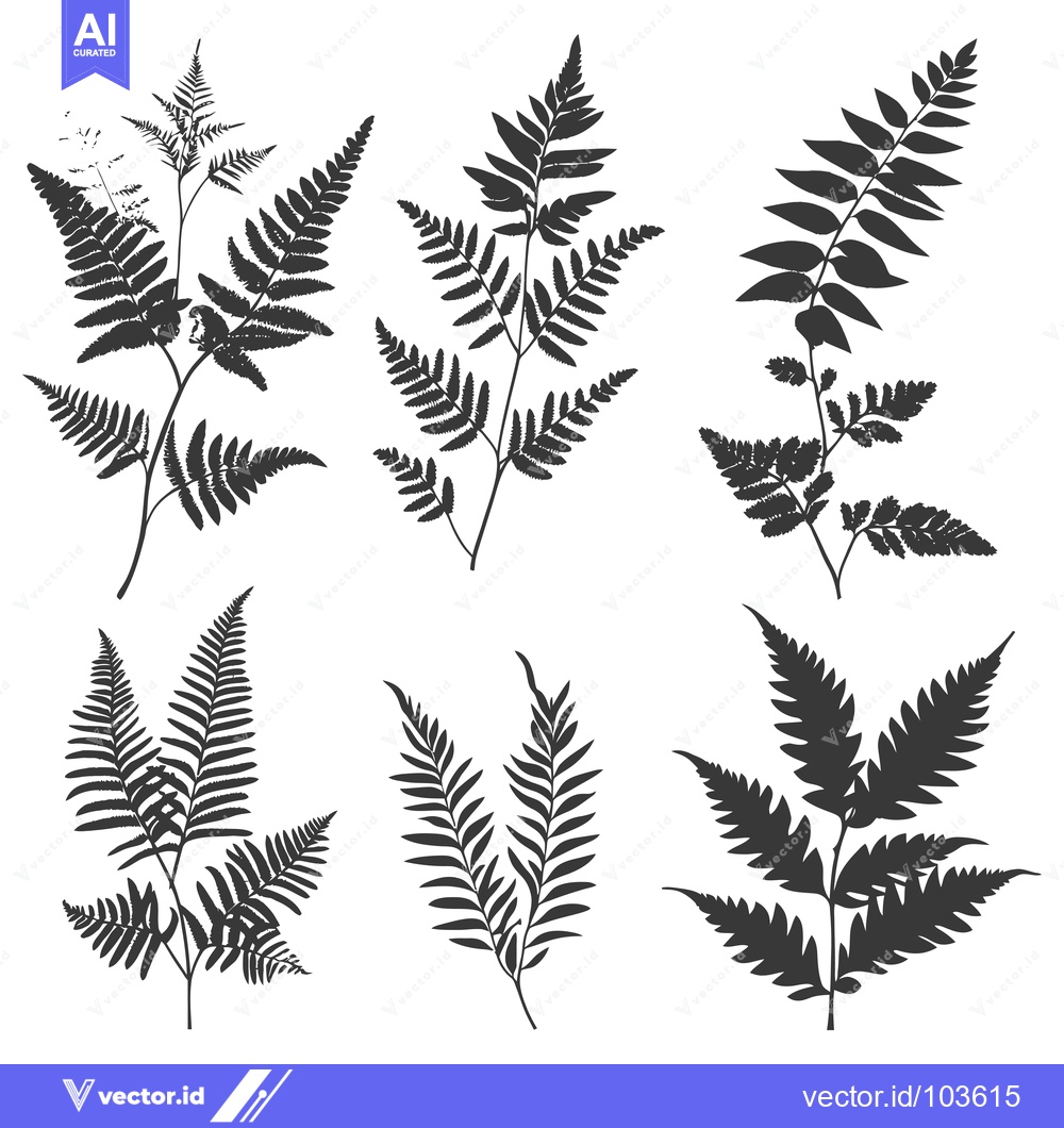 Premium Vector of Six Black and White Fern Silhouette Illustrations