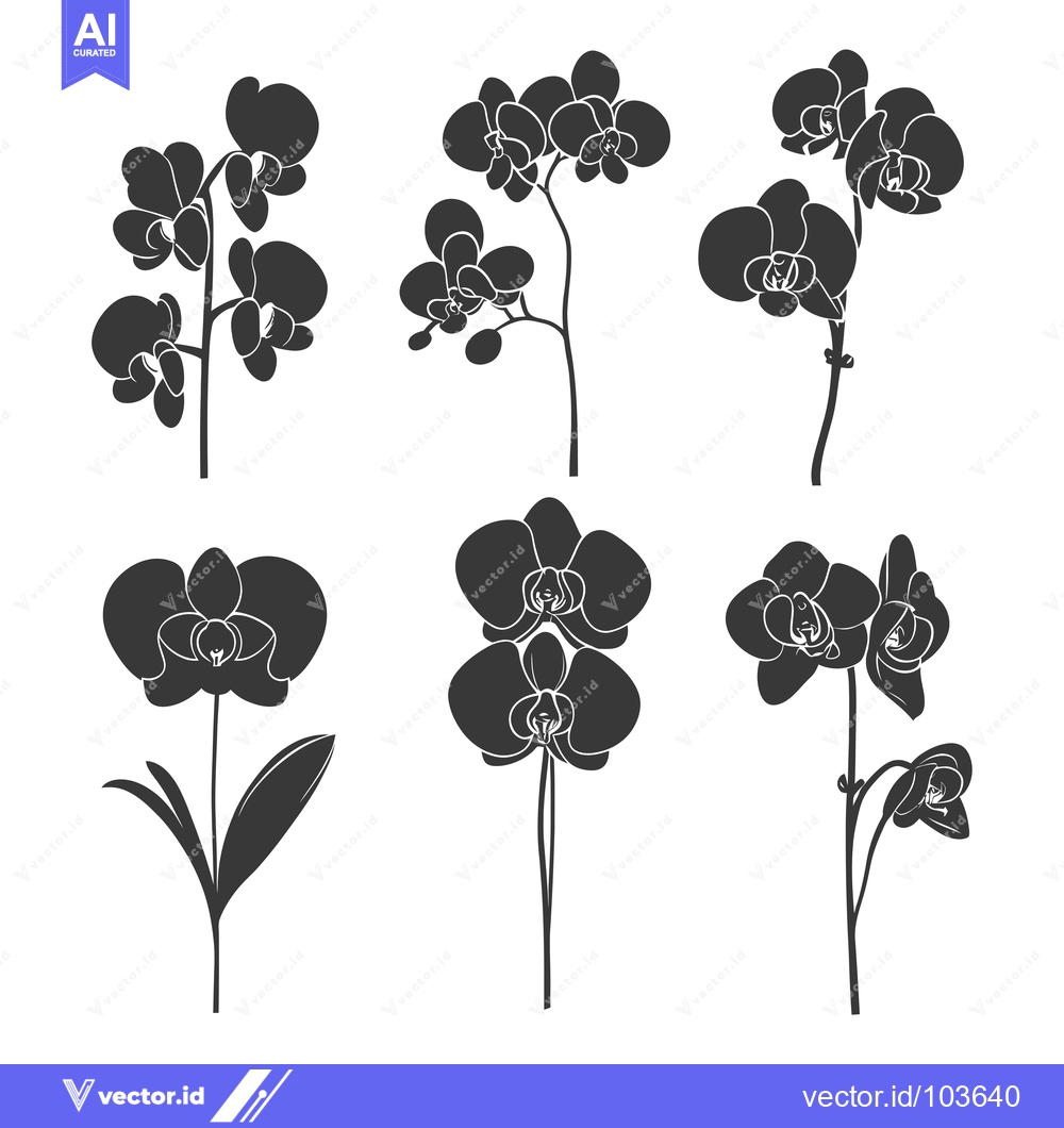 Premium Vector of Six Black Orchid Flower Silhouettes on a White Background