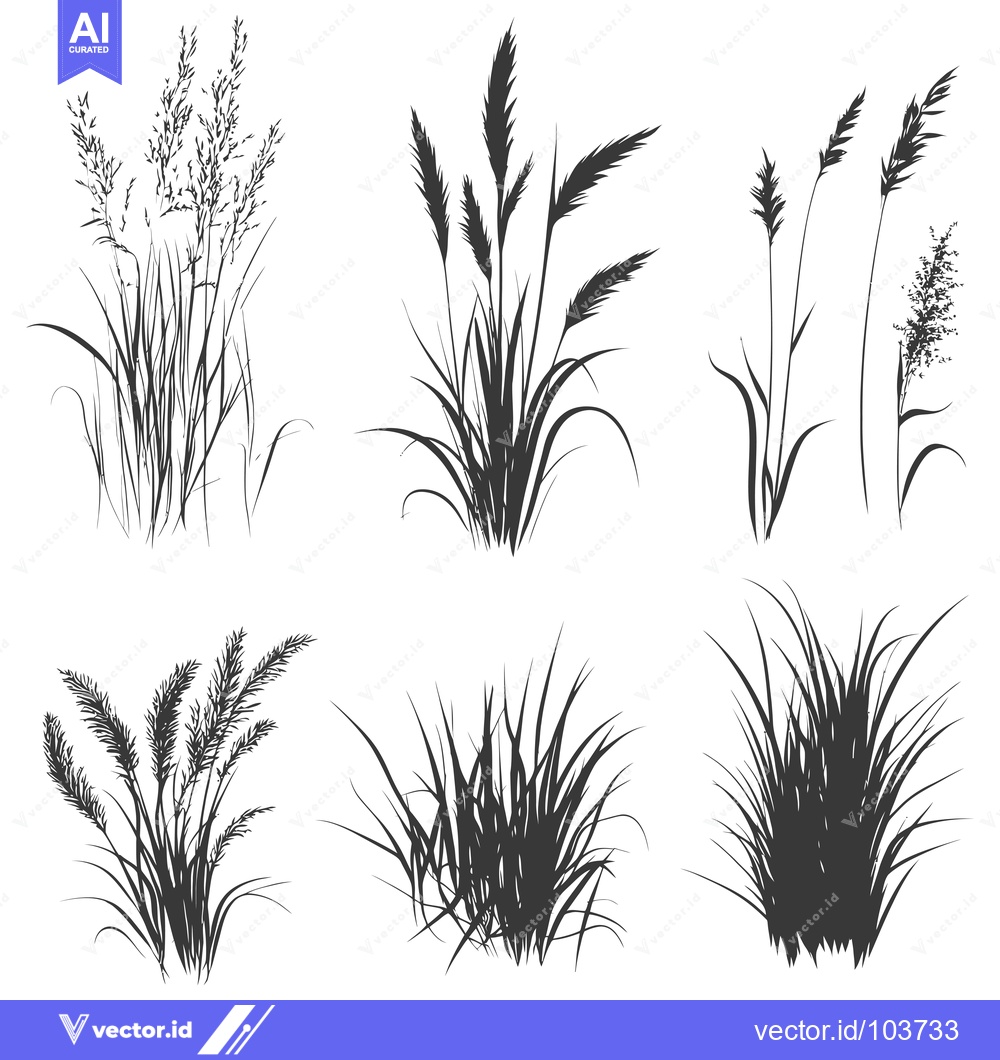 Premium Vector dari Six Silhouettes of Different Types of Grass