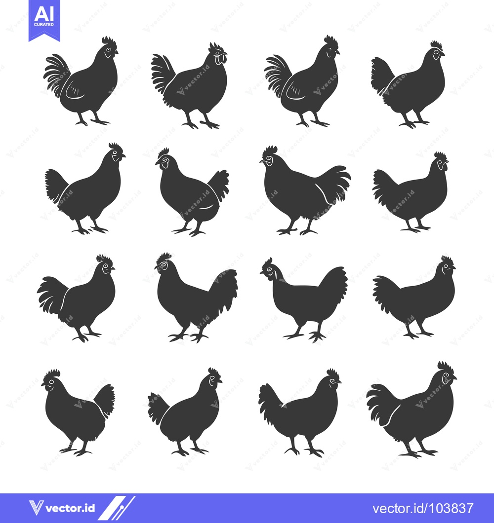 Premium Vector dari Sixteen Black Silhouettes of Chickens in Various Poses