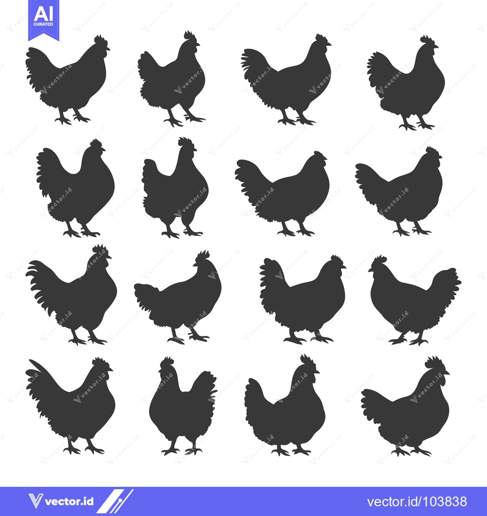 Premium Vector of Sixteen Black Silhouettes of Chickens in Various Poses