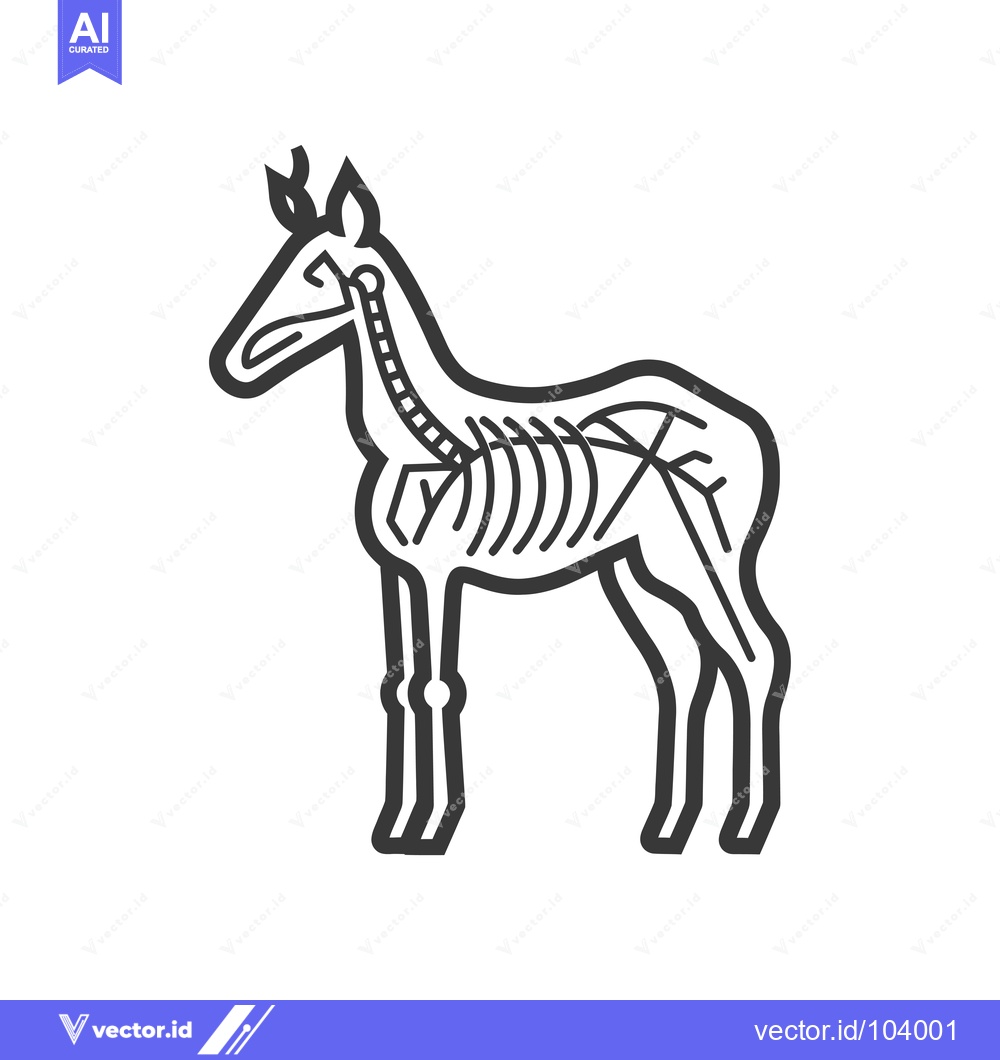 Premium Vector of Skeletal Outline of a Horse with Visible Ribs and Spine