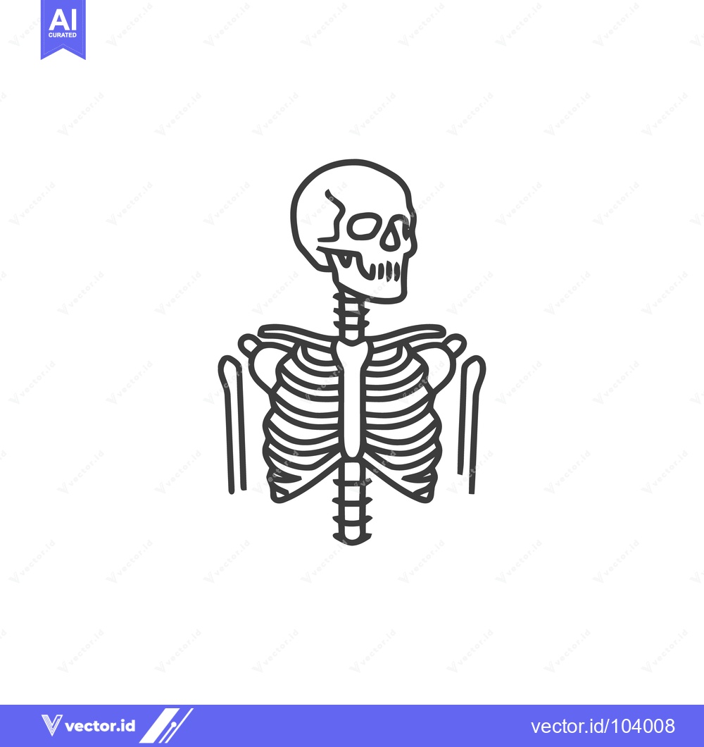 Premium Vector of Minimalist Line Art: Human Skeleton Torso and Skull Illustration