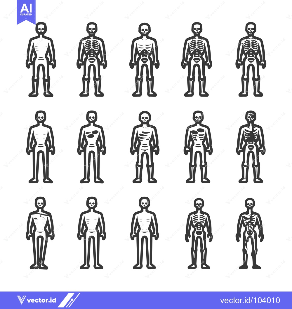 Premium Vector dari Skeletonized Human Figures with Various Bone Exposures