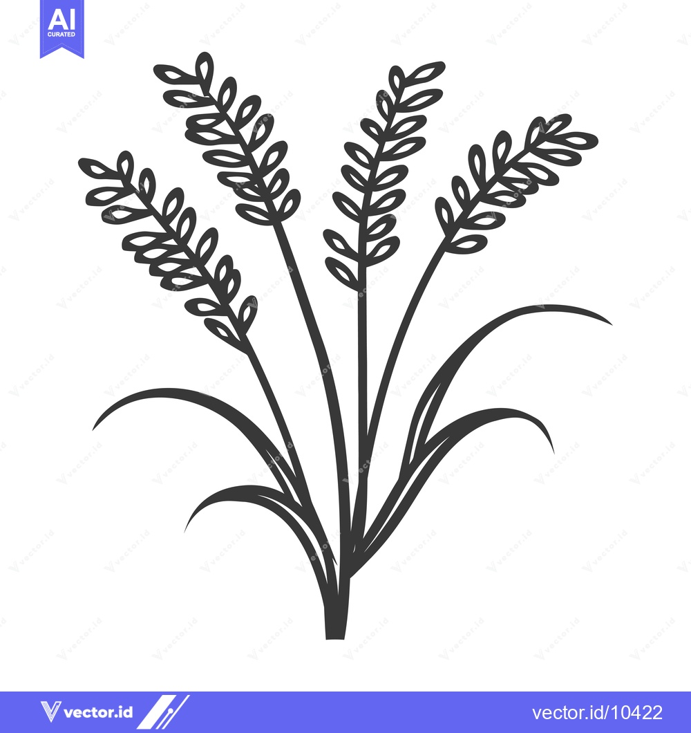 Premium Vector dari A Black and White Illustration of Three Spikes of Wheat