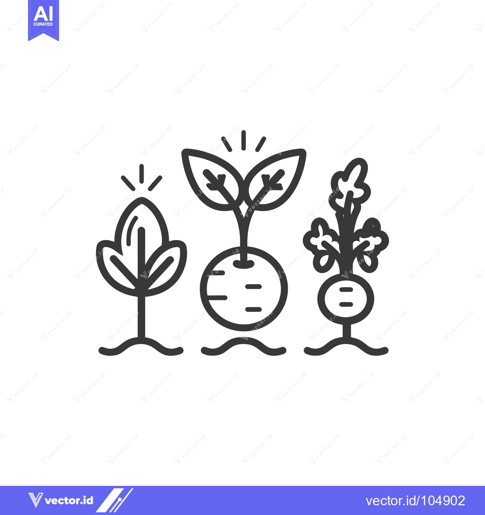 Premium Vector of Stages of Plant Growth from Seedling to Mature Plant
