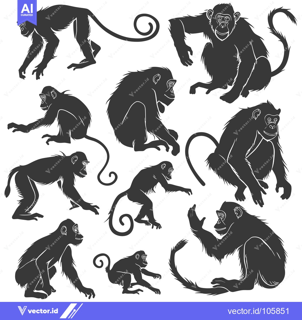 Premium Vector dari Ten Detailed Black Silhouettes of Monkeys in Various Poses