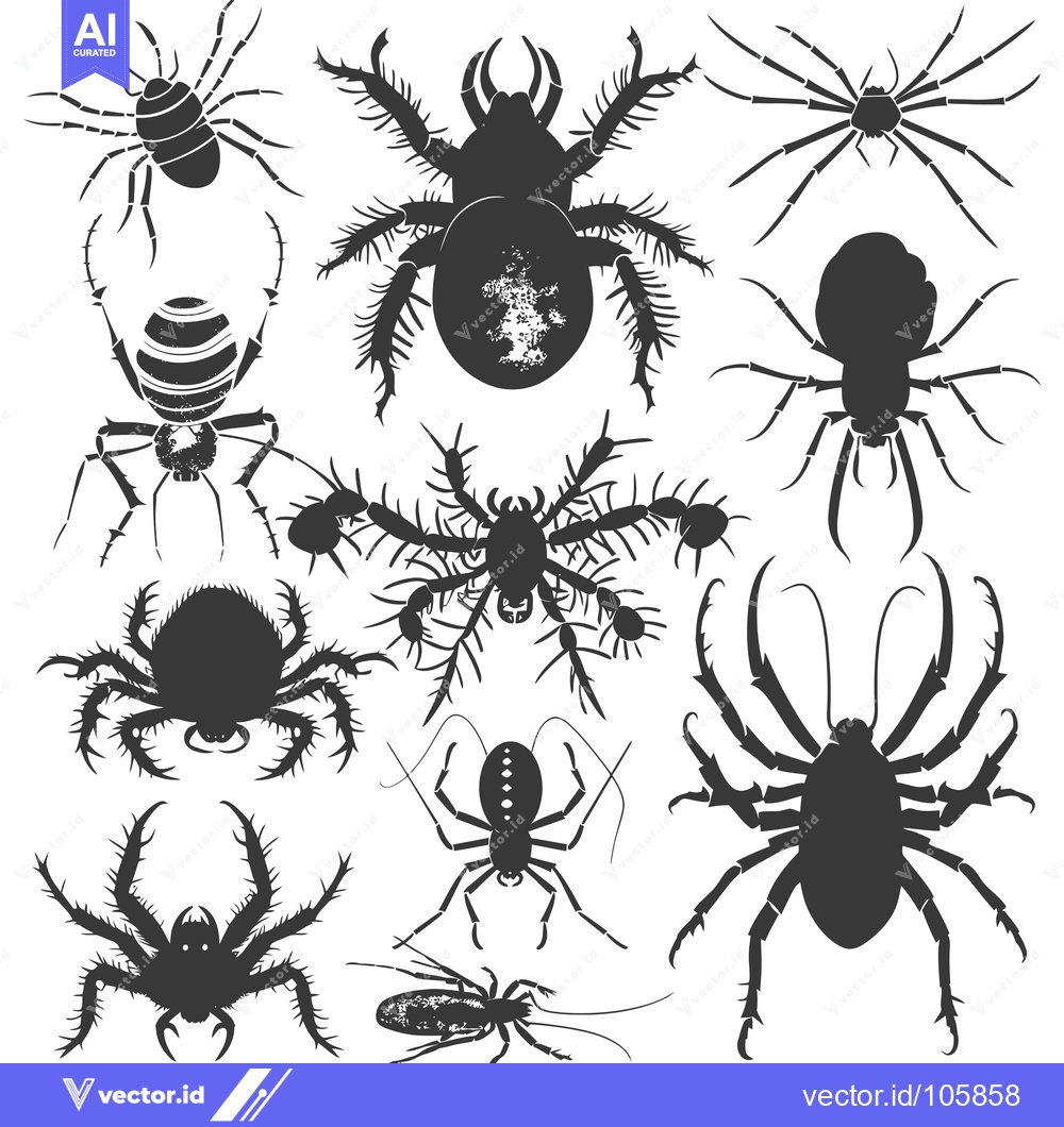 Premium Vector of Ten Silhouettes of Different Types of Spiders