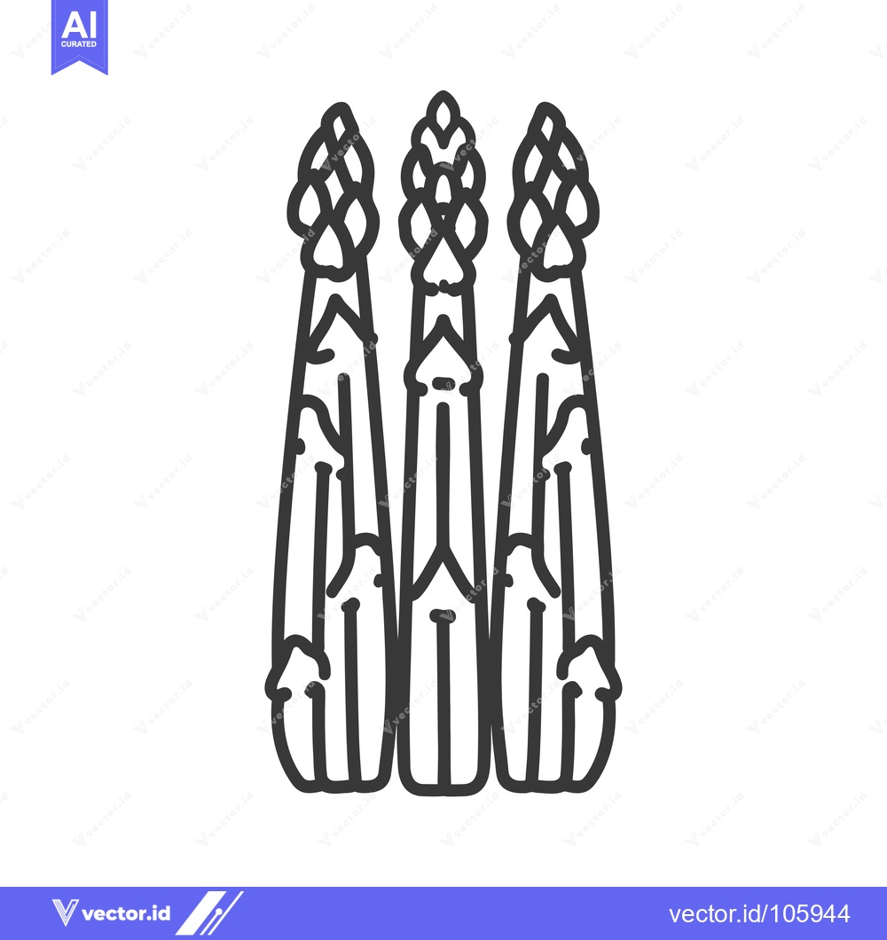 Premium Vector of Three Asparagus Spears in a Line, Black Line Drawing