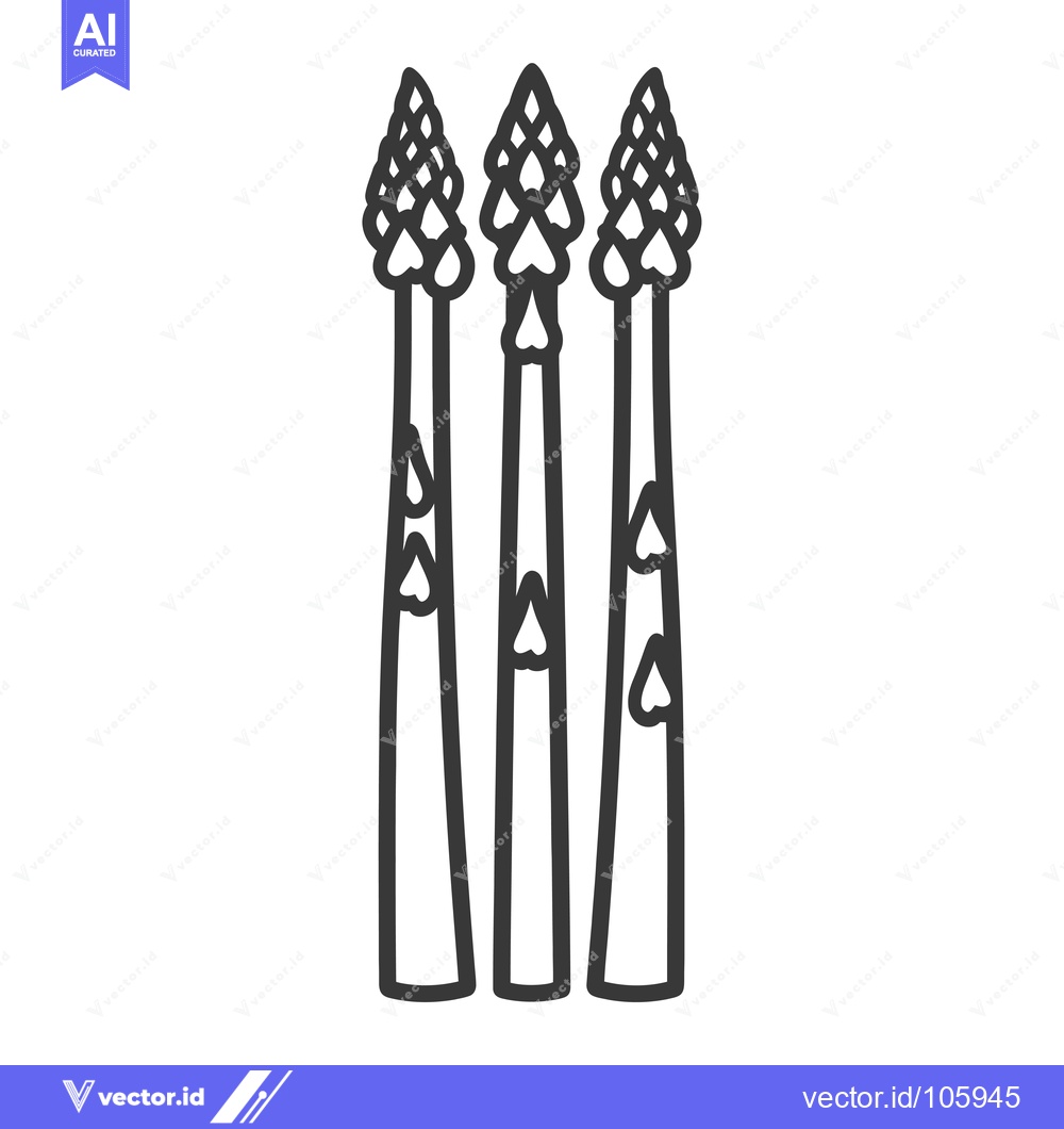 Premium Vector of Three Asparagus Spears with Detailed Line Art