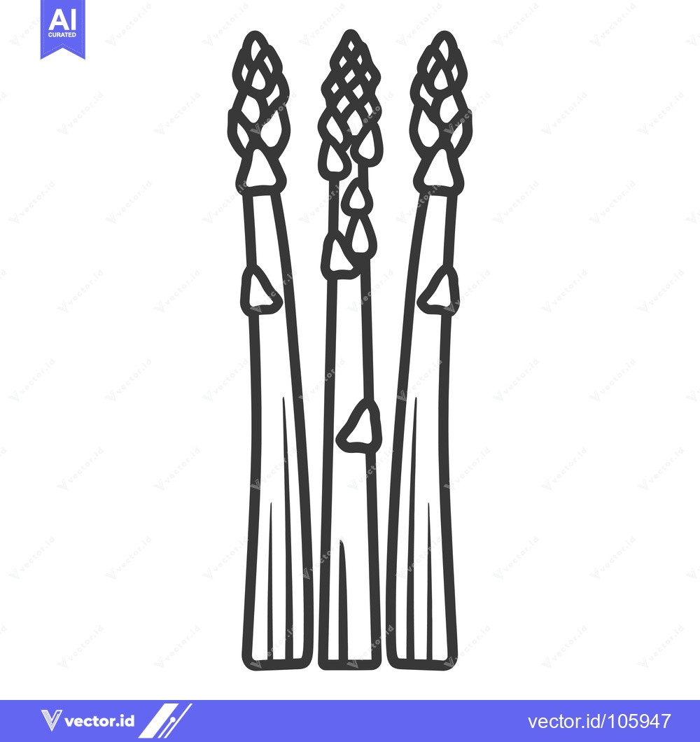 Premium Vector dari Three Asparagus Spears with Tops in Line Art Style