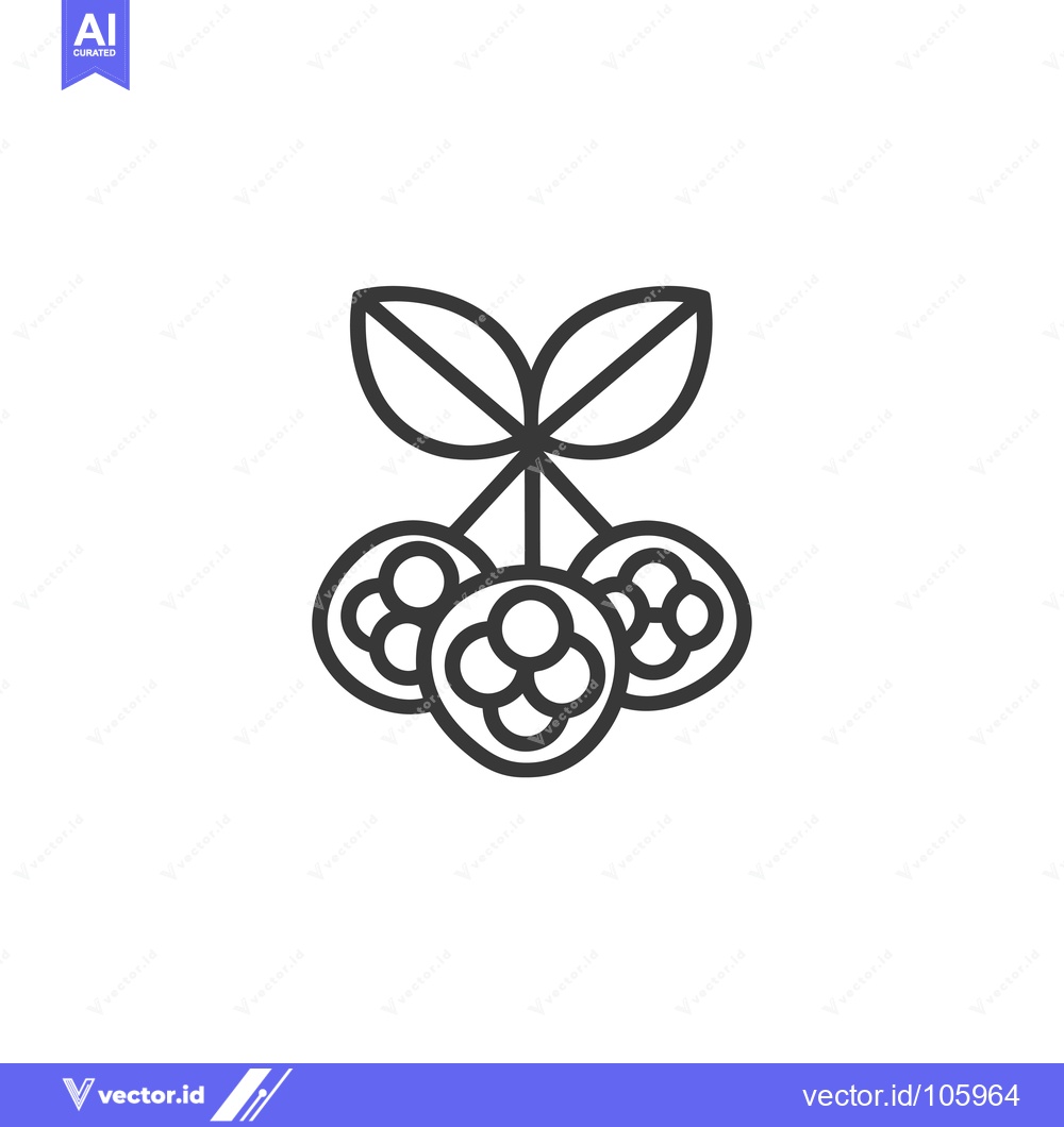 Premium Vector of Three Berries with Leaves, Line Art Illustration