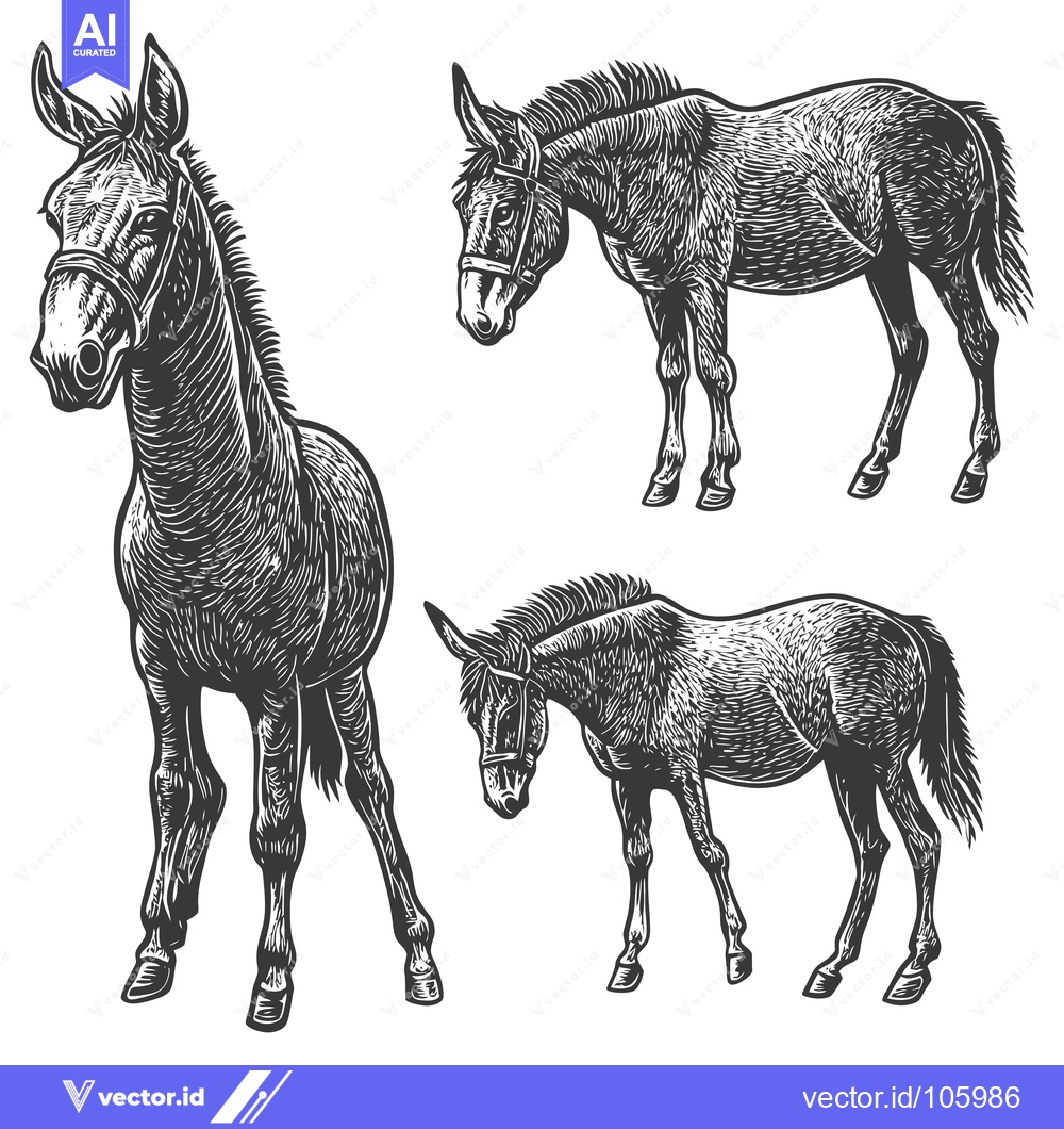 Premium Vector dari Three Black and White Drawings of Mules in Different Poses
