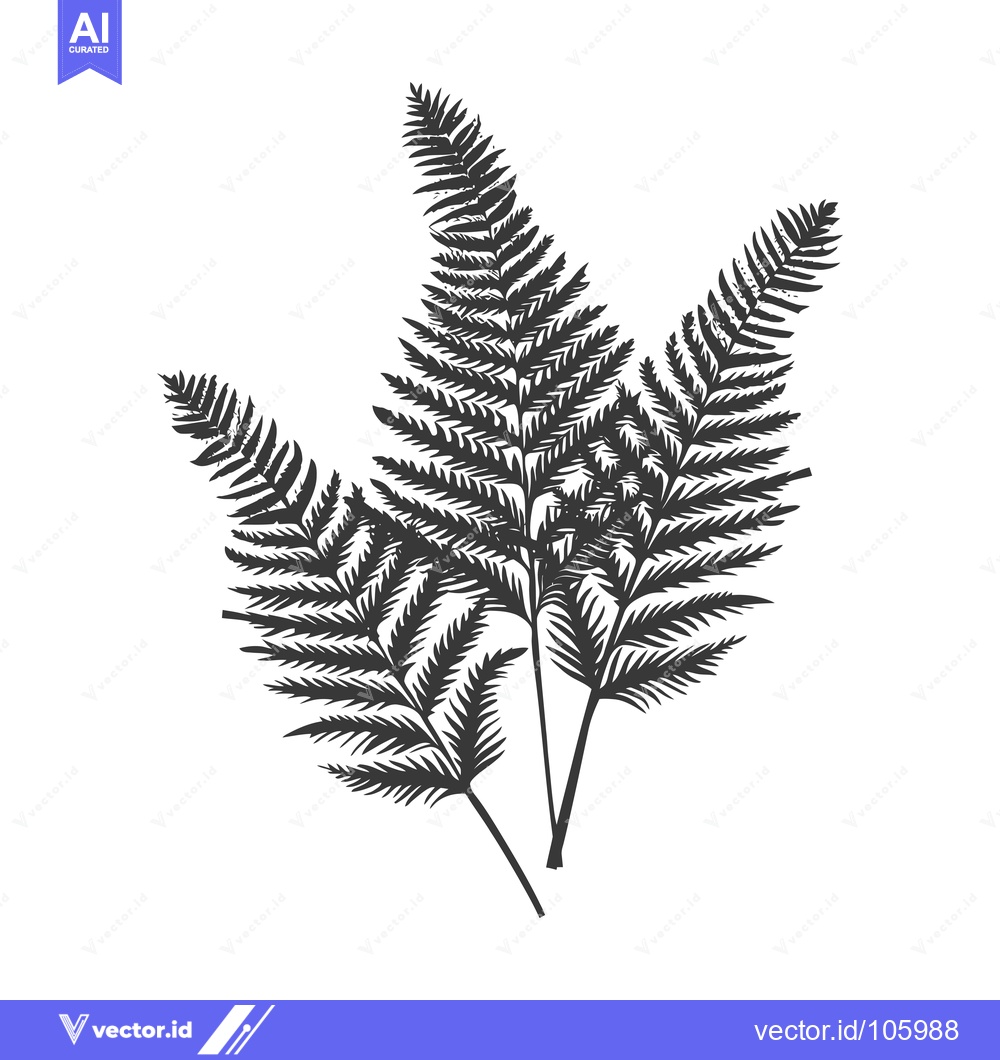 Premium Vector dari Three Black and White Fern Fronds on a White Background