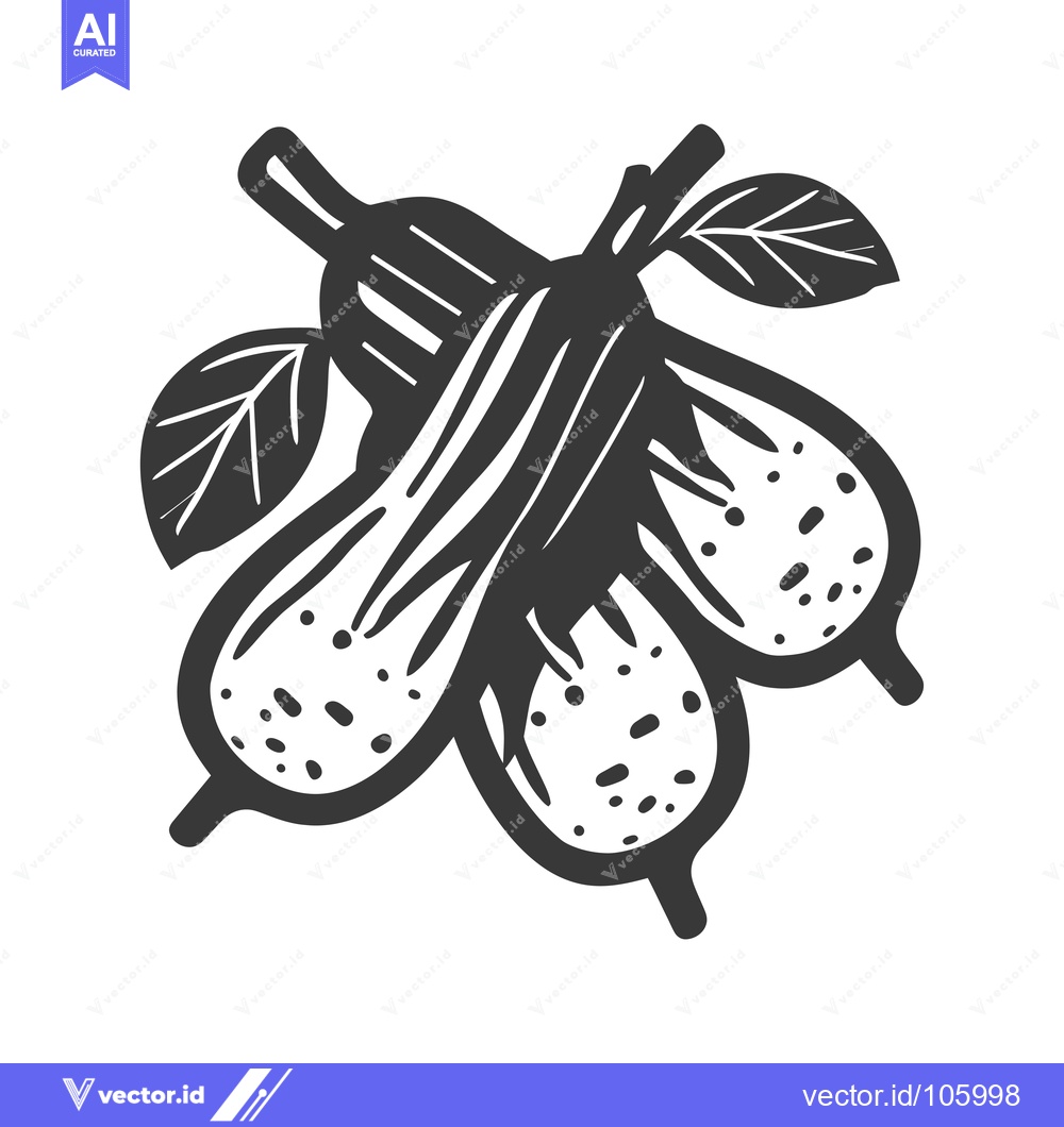Premium Vector of Three Black and White Peanuts with Leaves