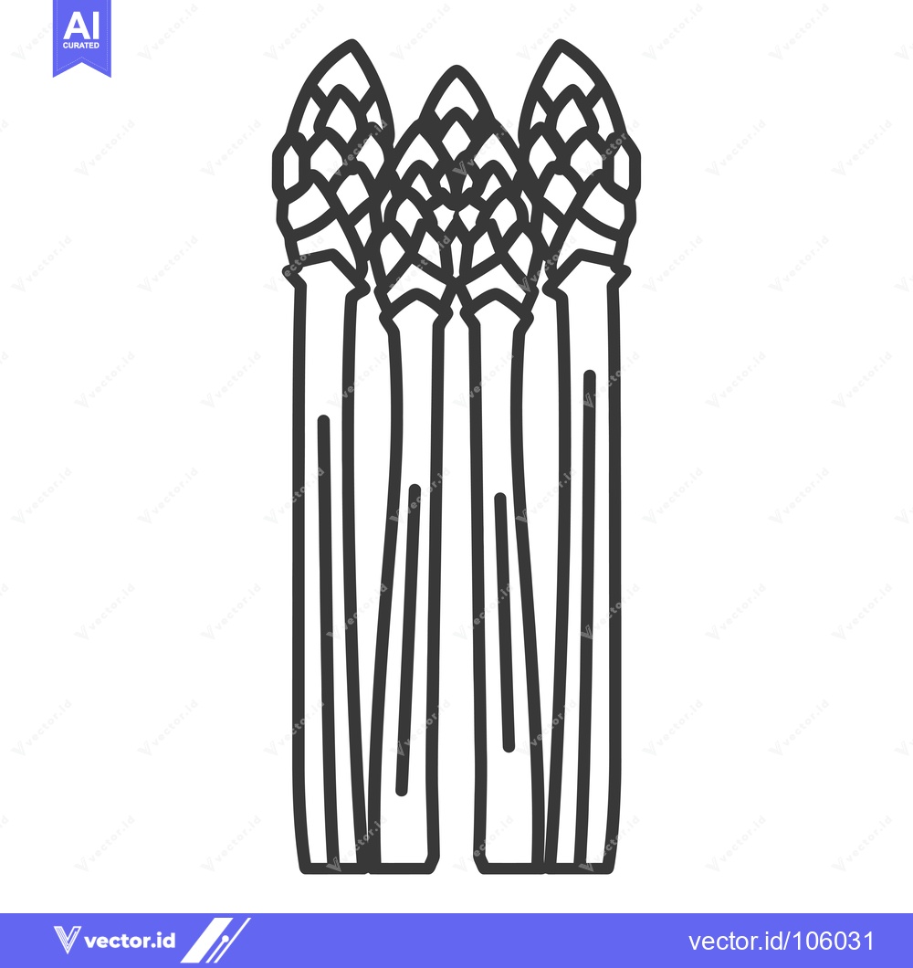 Premium Vector of Three Bunches of Asparagus with Detailed Scaly Tips