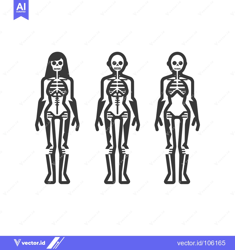 Premium Vector of Three Human Skeletons Standing in a Row