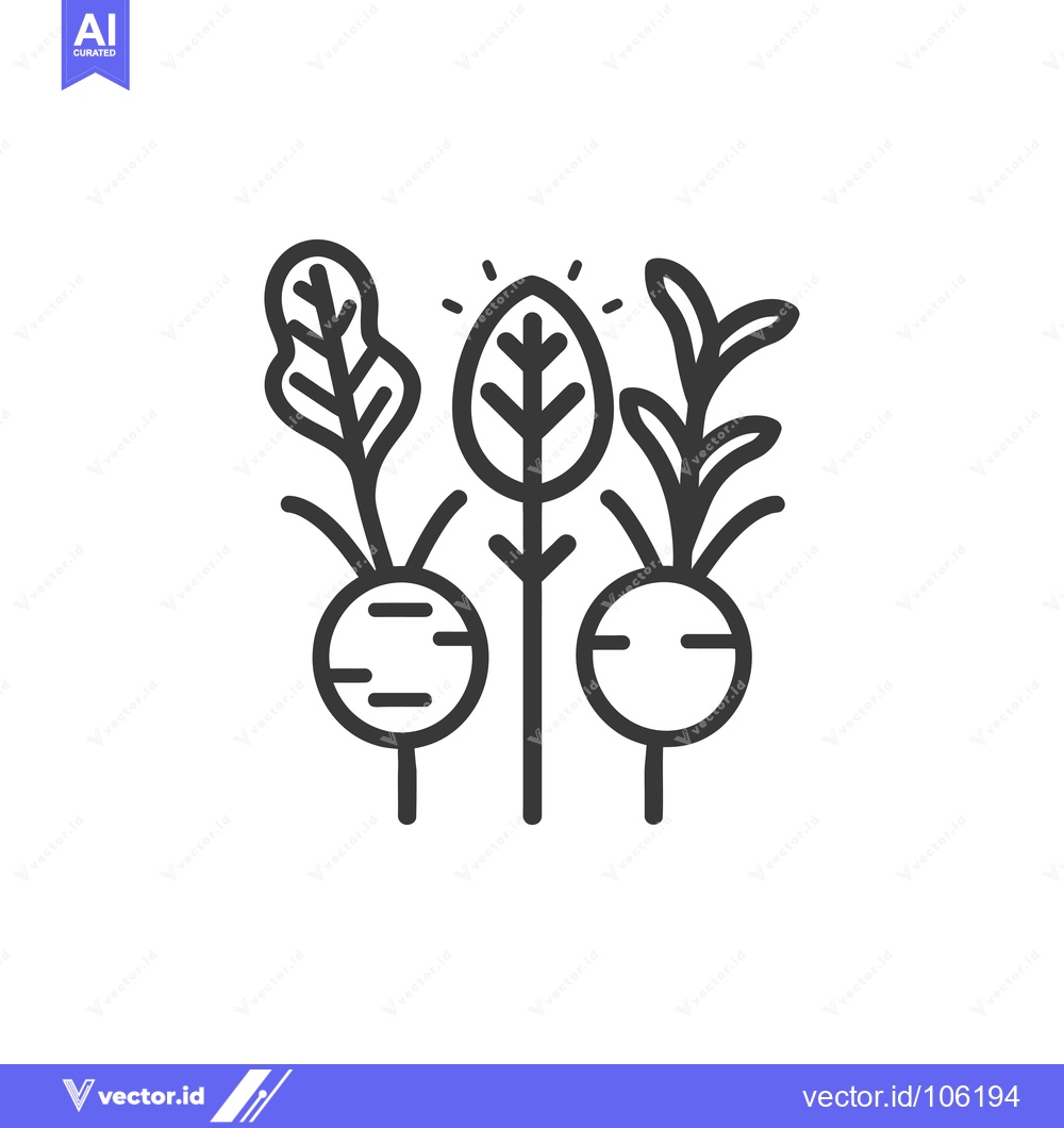 Premium Vector dari Three Line Drawings of Plants with Roots and Leaves