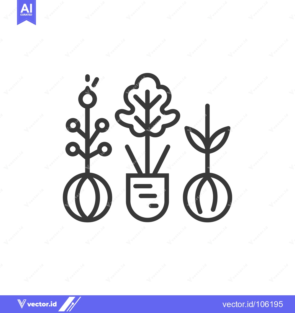 Premium Vector dari Three Line Drawings of Plants with Roots and Stems