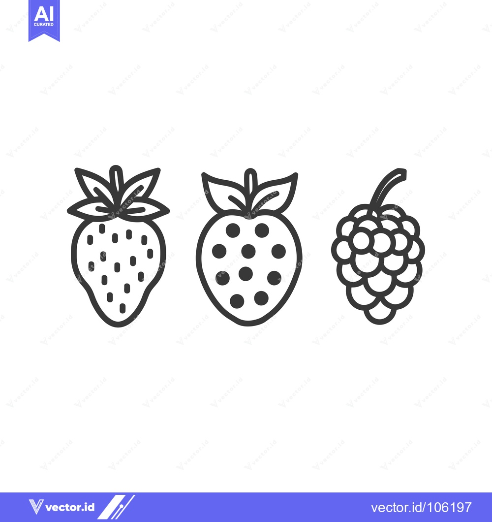 Premium Vector dari Three Line Drawings of Strawberries and Raspberries