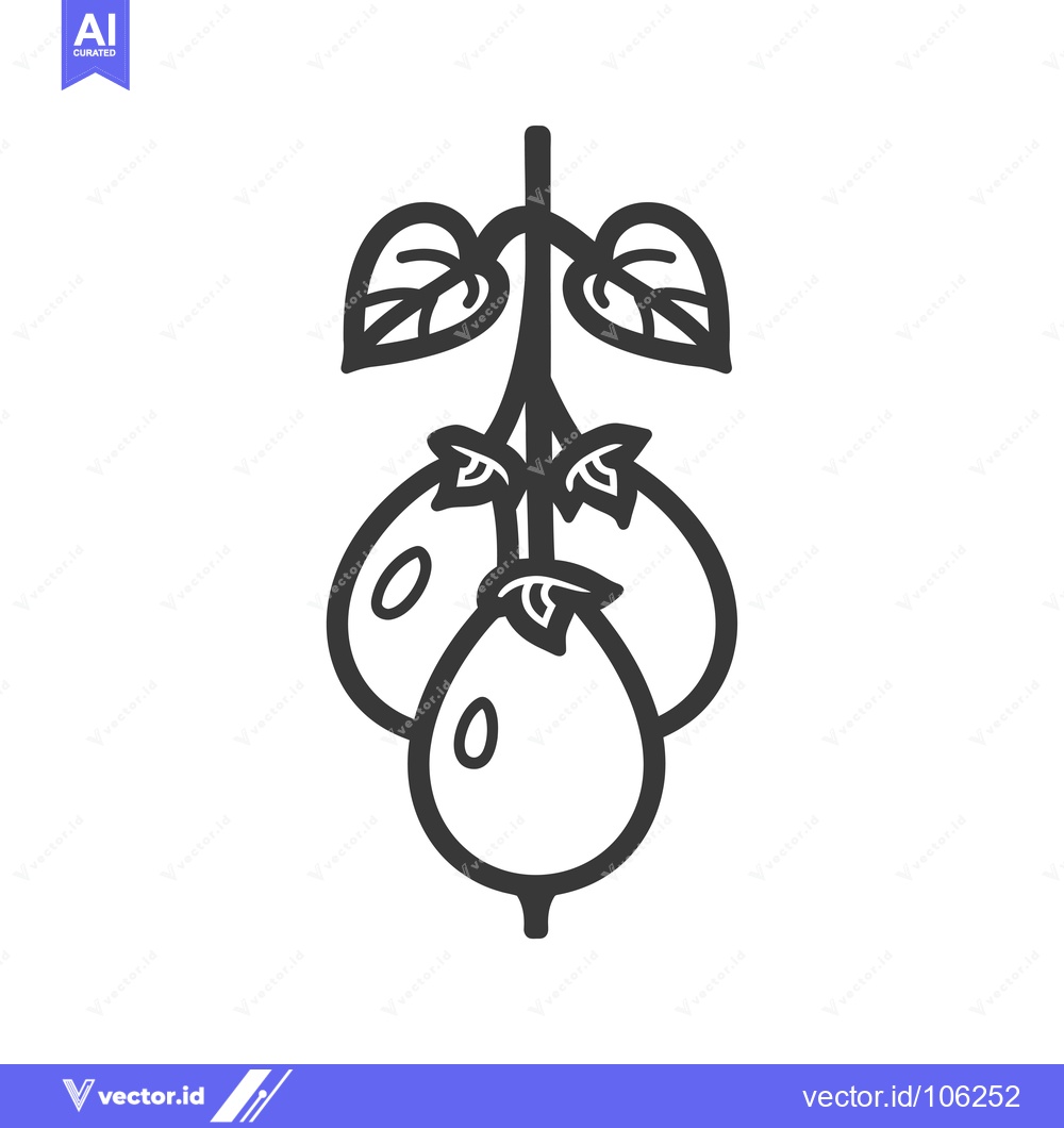 Premium Vector of Three Passionfruit with Leaves on a Vine
