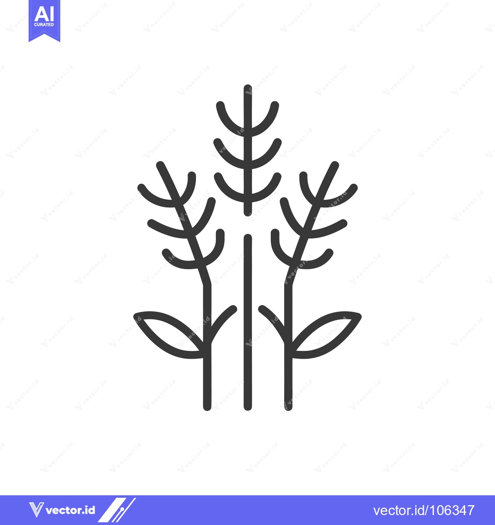 Premium Vector dari Three Simple Line Drawings of Wheat Stalks